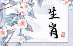 属鼠与属兔婚姻合适吗 生肖鼠和生肖兔适合吗