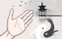 能聚来财运的手相 什么样的手相能聚财