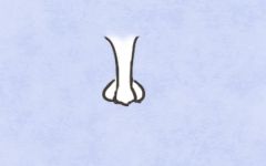 脚背长痣代表着什么含义 有痣长在脚背上的说法