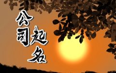 有创意好听的科技公司名字 比较响亮的科技公司名字