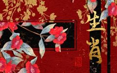 属龙跟属猴婚姻相配吗 属猴和什么属相最配