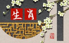 属马女和属鼠男合婚吗 属鼠与属马结婚好不好