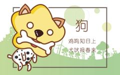 82年2024年属狗人的全年运势 2024年属狗人全年运势1982