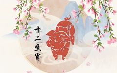 2024年属猪人全年运势女性 属猪女2024年全年运势