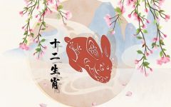 87年属兔2024运势 2024年生肖兔1987运势