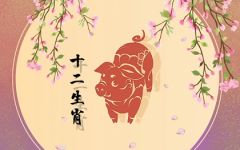 属猪和什么属相婚配好 属猪人的最佳婚配属相