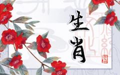 女属猪男鼠婚配好吗 属鼠的和什么属相最配
