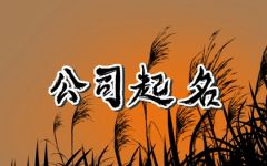 最新教育机构起名大全 大气响亮的教育机构名字