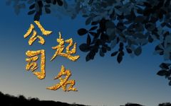 好听洋气的公司名字大全集 大气有品质的公司名字