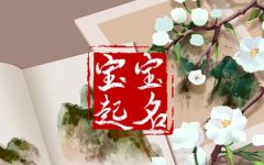 2024年男孩名字大全 大气有内涵的男孩名字