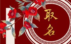 好听的侯姓男孩名字大全 儒雅大气的侯姓男孩名字