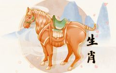 2024年属马的全年运势如何 属马2024年运程及运势详解