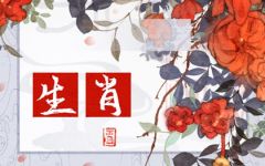 属鼠和属马的婚姻咋样 鼠和马相配婚姻如何