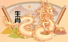 2024年属龙的运气怎么样 属龙人2024年全年运势运程