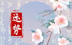 2024年5月28日生肖运势查询