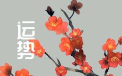 2024年6月2日生肖运势查询