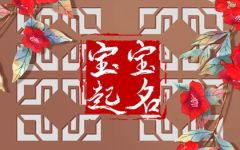 鲍姓好听的名字男孩 独特稀少鲍姓男孩名字