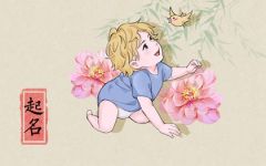 胡姓男孩起名100分 胡姓独特又新颖的男孩名字