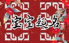 胡姓好听稀少的男孩名字 胡姓独特少见的男孩名字