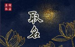 杨姓起名大全男孩名字 杨姓男孩寓意吉祥名字集