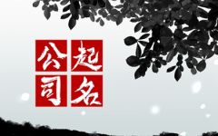 比较吉利的公司名称2024 响亮又霸气的公司名字