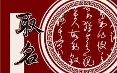小孩子取名字大全女生2024 女孩有魅力的气质